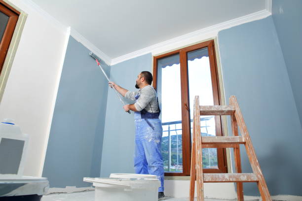 Best Custom Drywall Patching  in USA